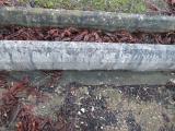 image of grave number 372855